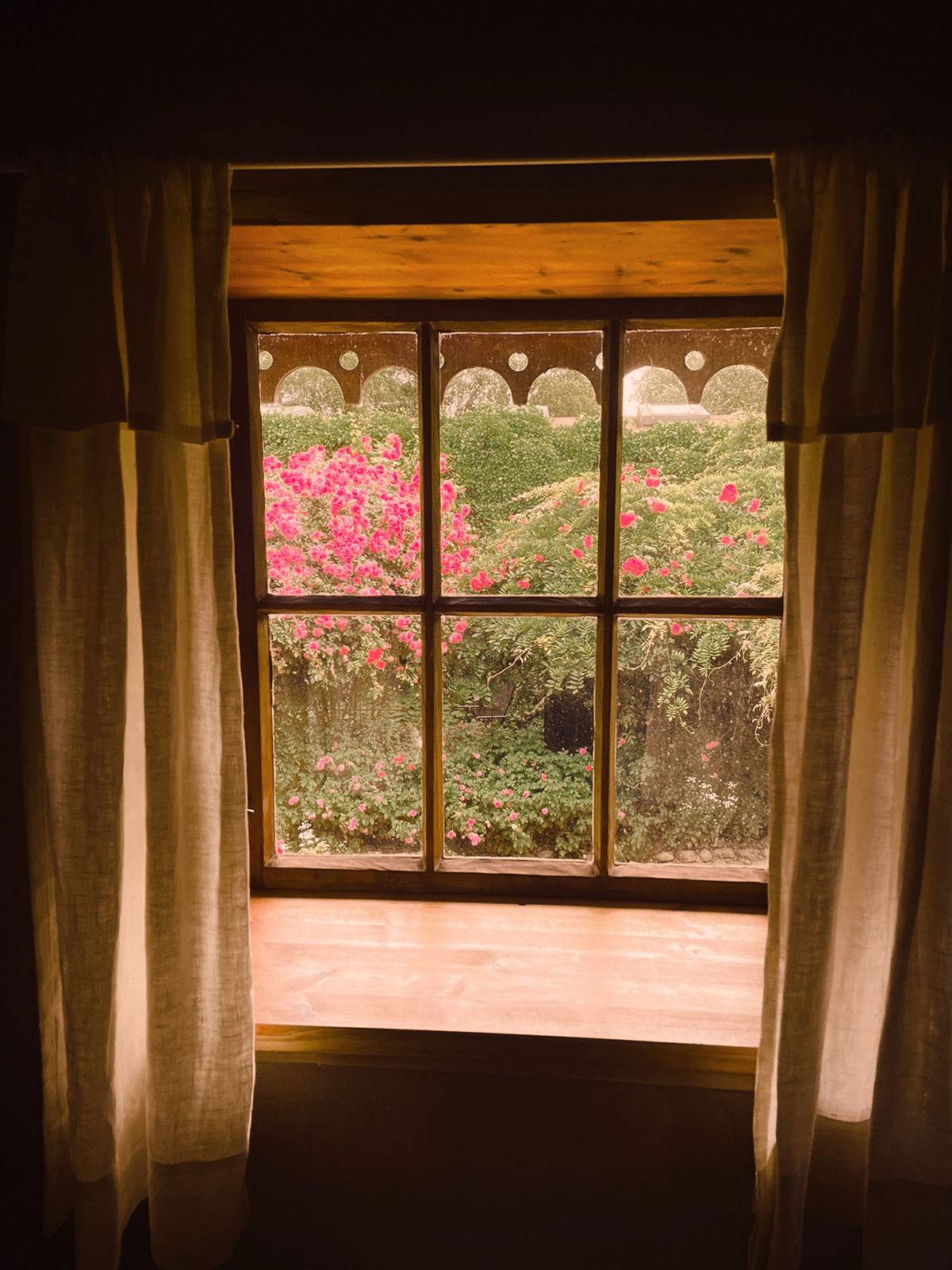fenster-web fenster-web