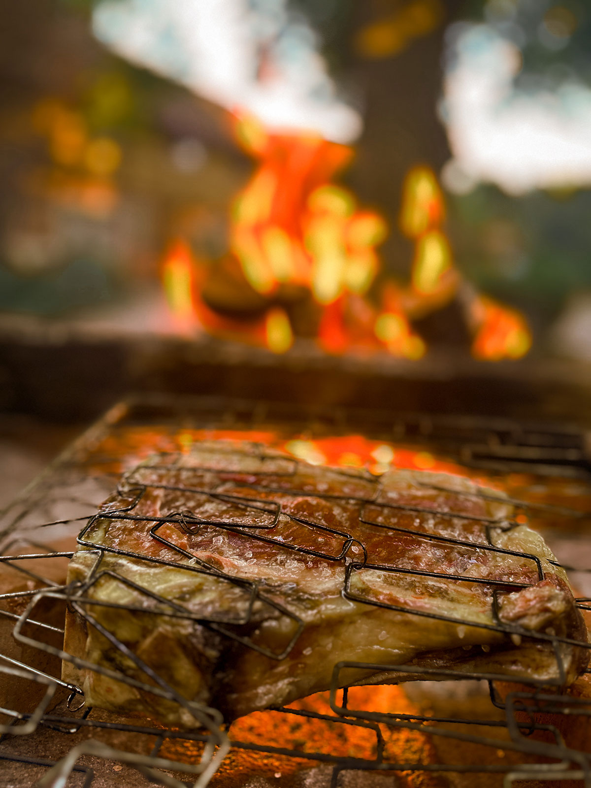 grill-web grill-web