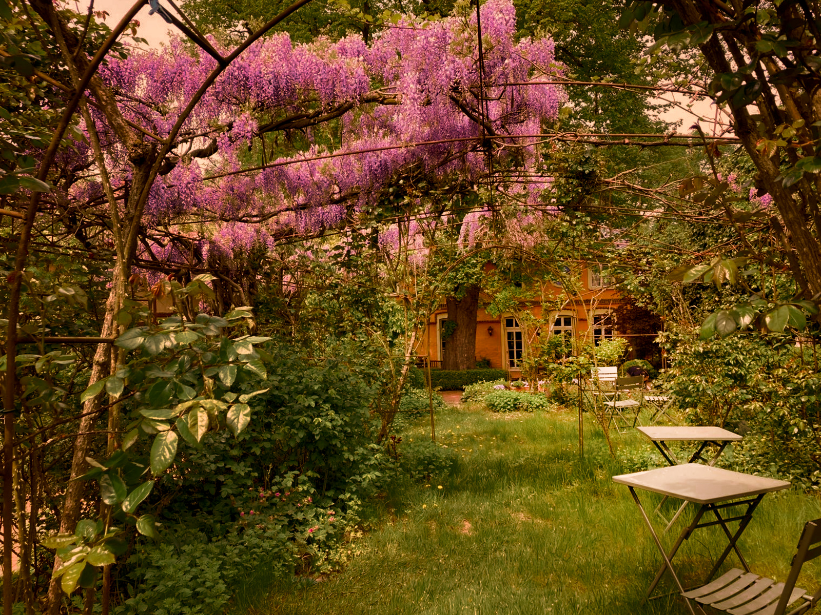 rosengarten-2